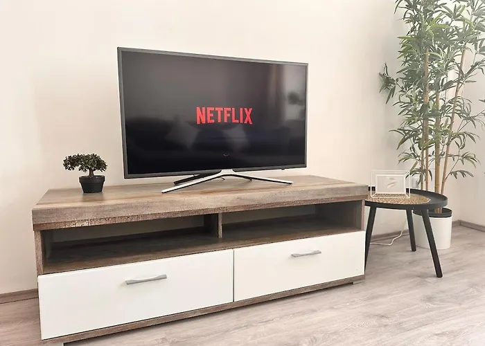 Spacious Netflix Apartment For Up To 4 People With Massage Shower