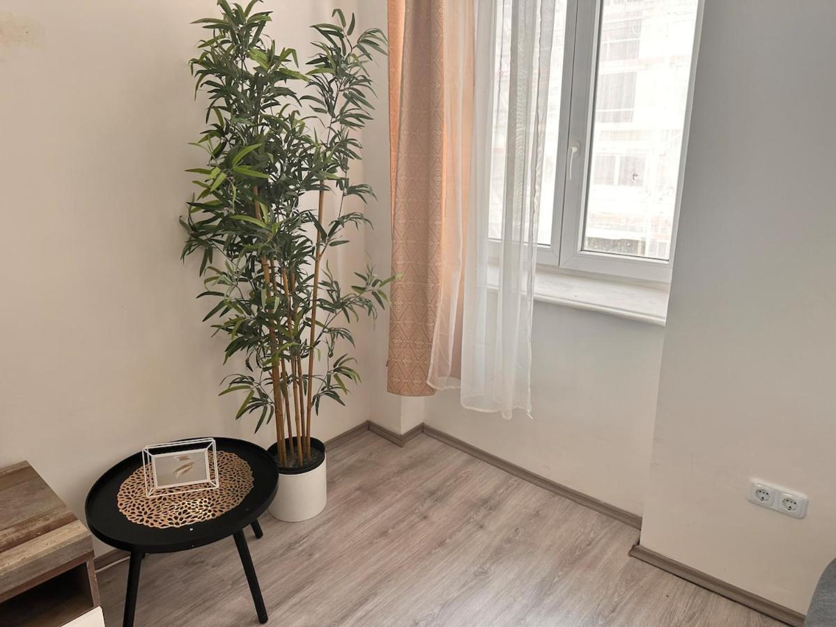 Apartment Spacious Netflix For Up To 4 People With Massage Shower Wien